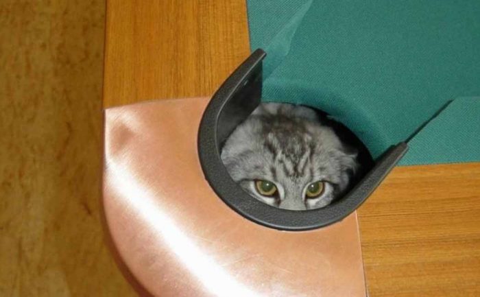 A cat peeking out of a corner hole in a pool table 