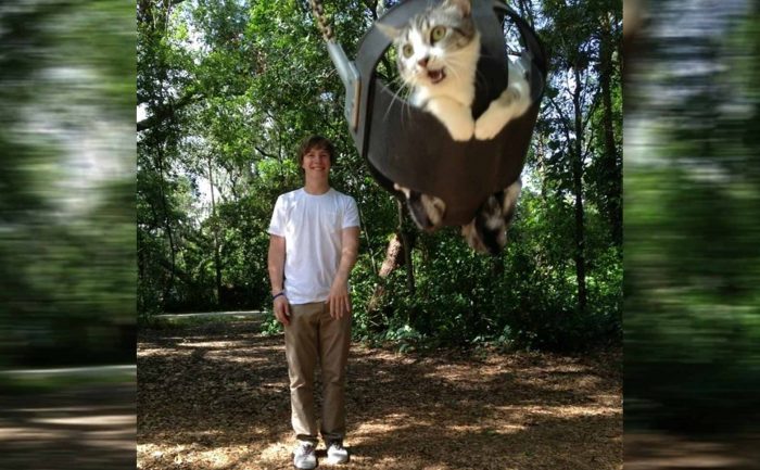 A cat being pushed on a child’s swing at the playground while looking shocked 