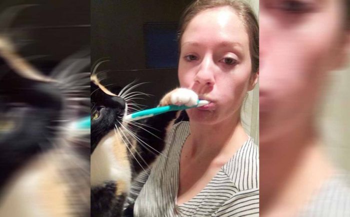  A woman brushing her teeth while a cat grabs the toothbrush and plays with it 