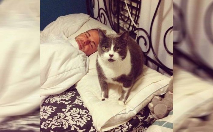 A cat lying next to a man in bed while looking up angrily at the girl behind the camera 