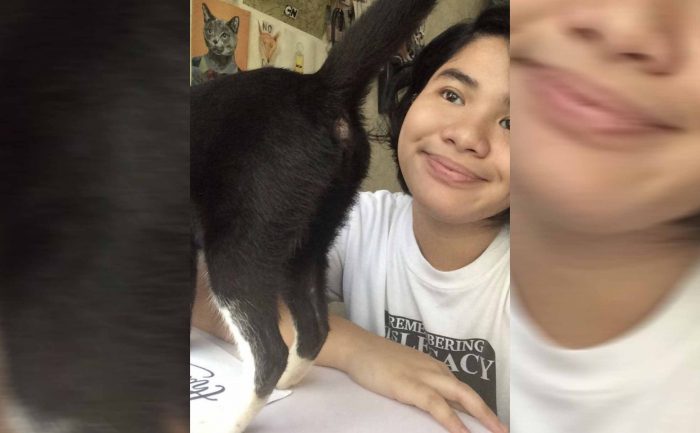 A girl sitting at a table with a cat’s behind in her face