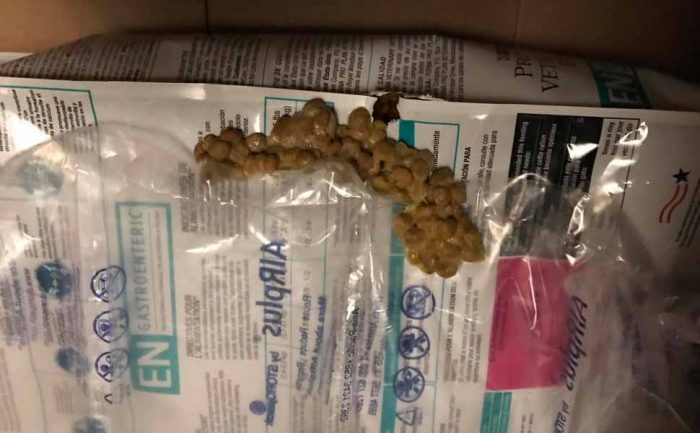 A photograph of a hole chewed into the side of a bag of cat food with a pile of it thrown up on top of it 
